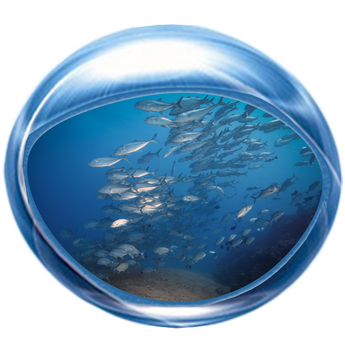 Fishes